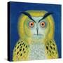 Stock Owl, 1999-Tamas Galambos-Stretched Canvas