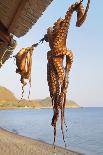 Octopus Drying in the Sun in the Greek Islands-StockCube-Framed Stretched Canvas