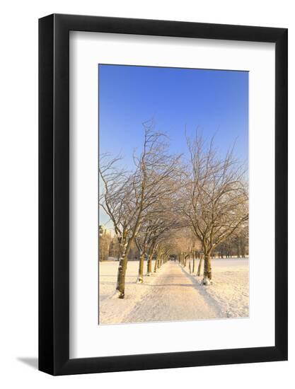 Premium Photographic Print, , large