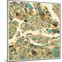 Stockholm Map-Jazzberry Blue-Mounted Art Print