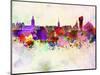 Stockholm Skyline in Watercolor Background-paulrommer-Mounted Art Print