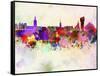Stockholm Skyline in Watercolor Background-paulrommer-Framed Stretched Canvas