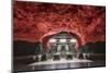 Stockholm, Sweden, Northern Europe. Decorated underground metro station.-Marco Bottigelli-Mounted Photographic Print