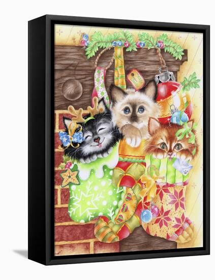 Stocking Fillers Kitten-Karen Middleton-Framed Stretched Canvas