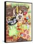 Stocking Fillers Kitten-Karen Middleton-Framed Stretched Canvas