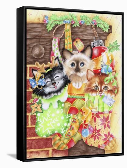 Stocking Fillers Kitten-Karen Middleton-Framed Stretched Canvas