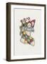 Stocking with Toys-Debbie McMaster-Framed Giclee Print