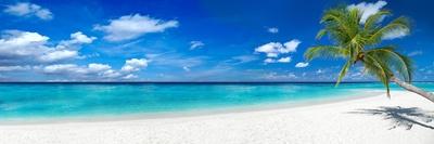 Tropical Paradise Beach with White Sand and Coco Palms Travel Tourism Wide Panorama Background Conc-stockphoto-graf-Stretched Canvas