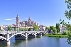 Salamanca Cathedral.-StockPhotoAstur-Stretched Canvas