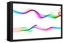 Framed Canvas