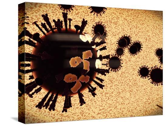 Stretched Canvas Print, , large