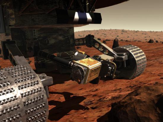 Photographic Print, , large