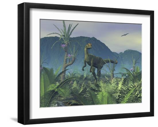 Photographic Print, , large