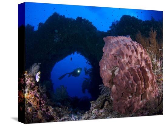 Stretched Canvas Print, , large
