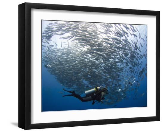 Premium Photographic Print, , large