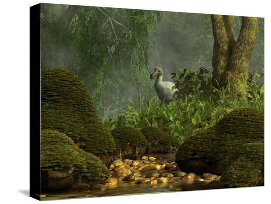 Stretched Canvas Print, , large