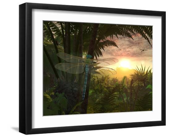 Photographic Print, , large