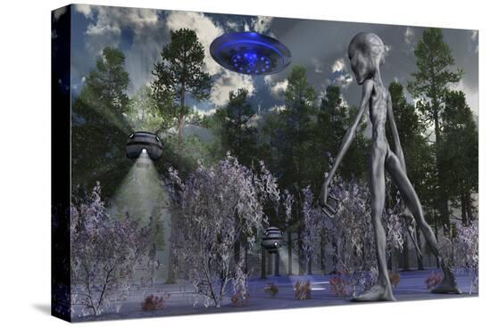 Stretched Canvas Print, , large