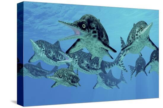 Stretched Canvas Print, , large