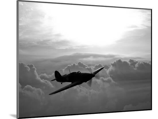 Photographic Print, , large