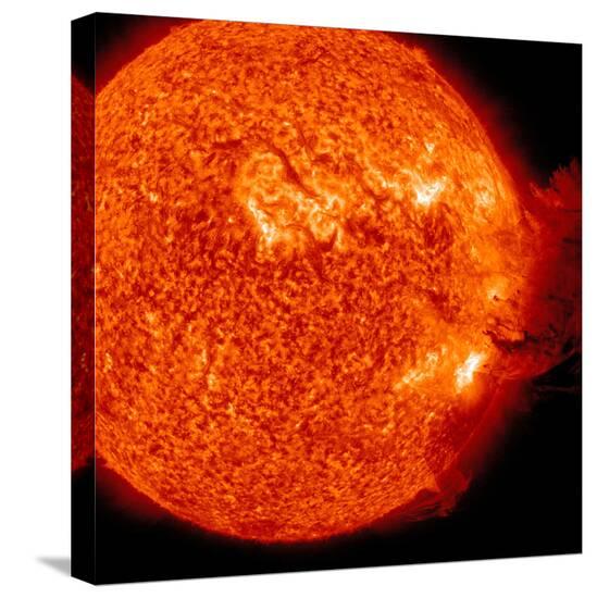 Stretched Canvas Print, , large
