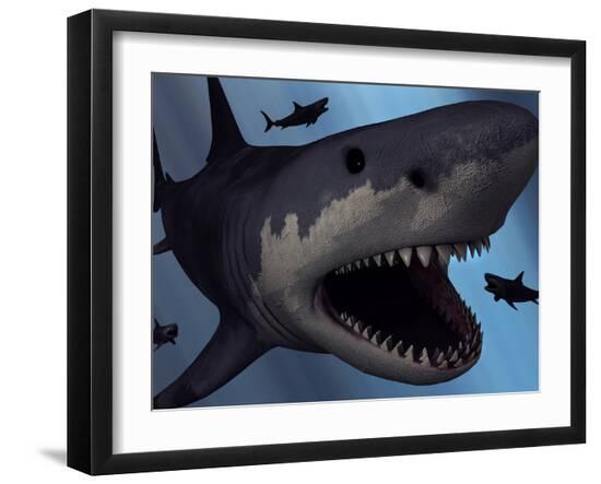 Premium Photographic Print, , large