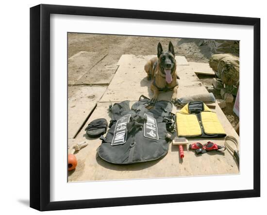 Premium Photographic Print, , large