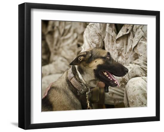 Premium Photographic Print, , large