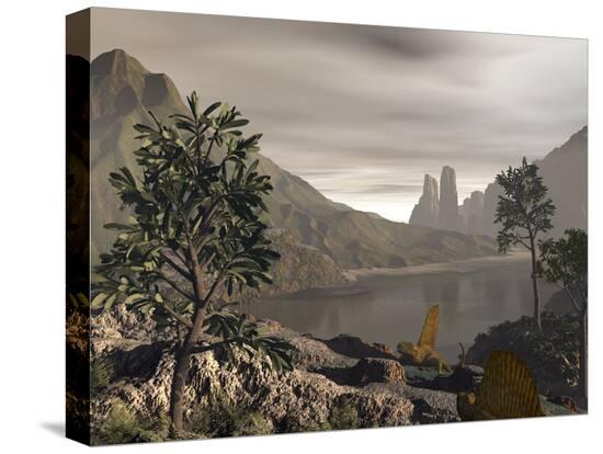Stretched Canvas Print, , large