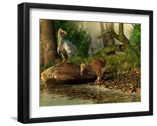 Premium Photographic Print, , large
