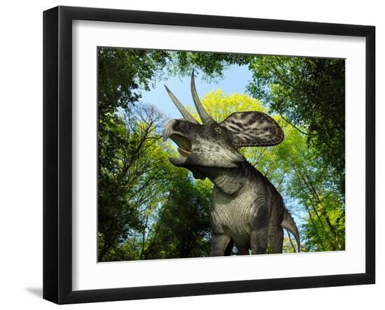 Premium Photographic Print, , large