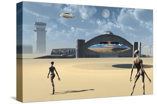 Stretched Canvas Print, , large