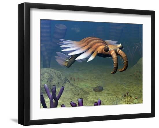 Premium Photographic Print, , large