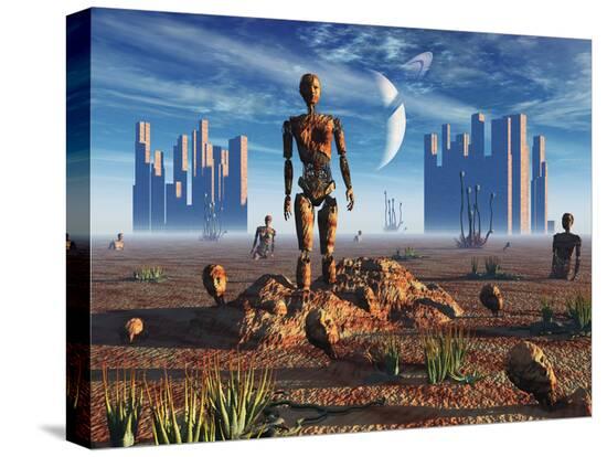 Stretched Canvas Print, , large