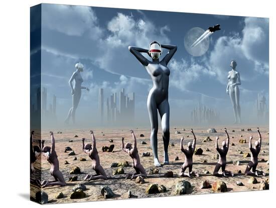 Stretched Canvas Print, , large
