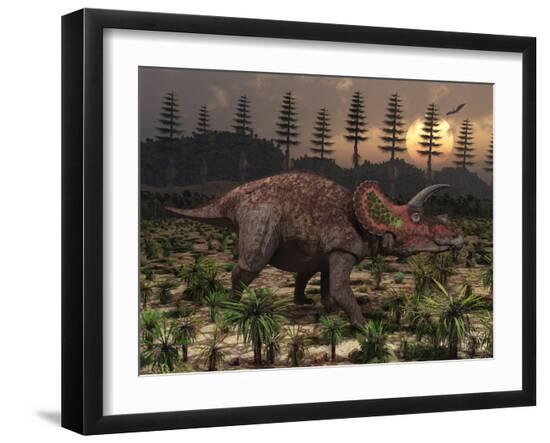 Premium Photographic Print, , large