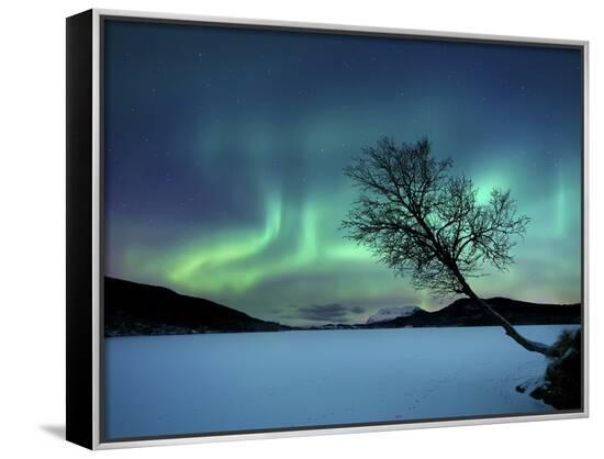 Framed Canvas Print, , large
