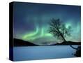 Stretched Canvas