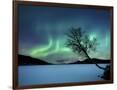 Gramercy Espresso