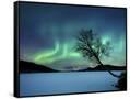 Canvas Black