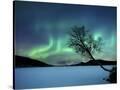 Stretched Canvas