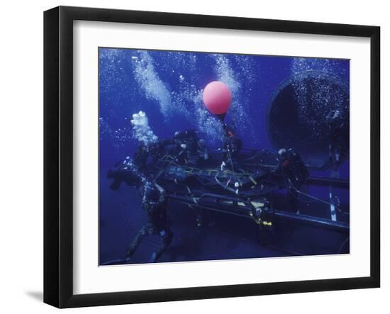 Premium Photographic Print, , large