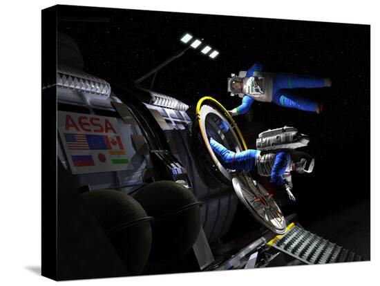 Stretched Canvas Print, , large