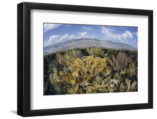 Premium Photographic Print, , large