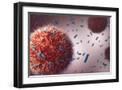 Black Frame