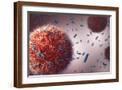 Brown Frame