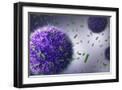 Black Frame