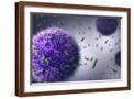 Brown Frame