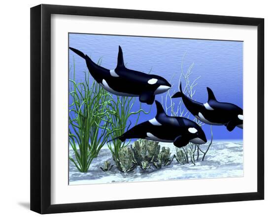 Premium Photographic Print, , large