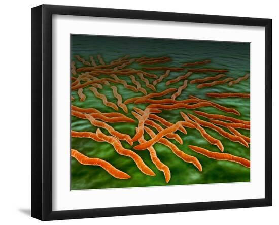 Photographic Print, , large